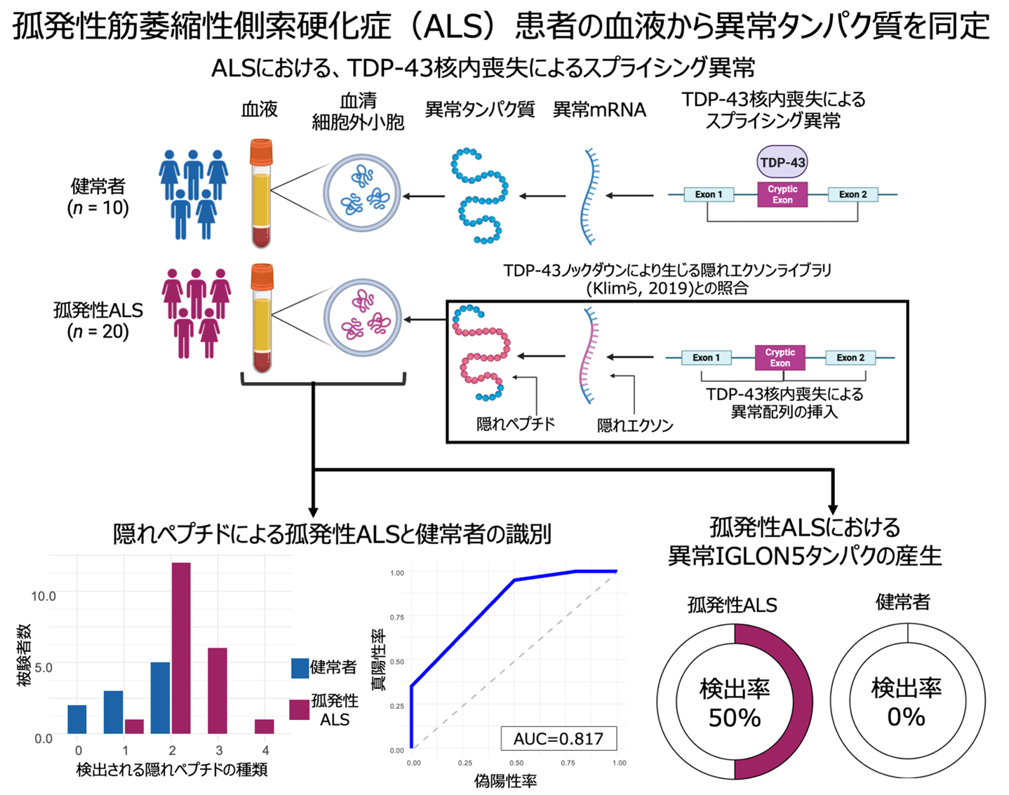 Diagnostic potential of cryptic exon-derived peptides in serum